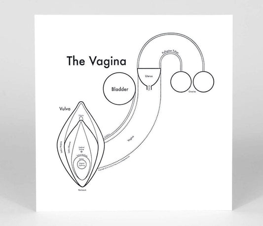 The Vagina | Archie’s Press (NY)