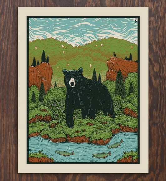 Appalachia Wilderness | Logan Schmitt (WV)