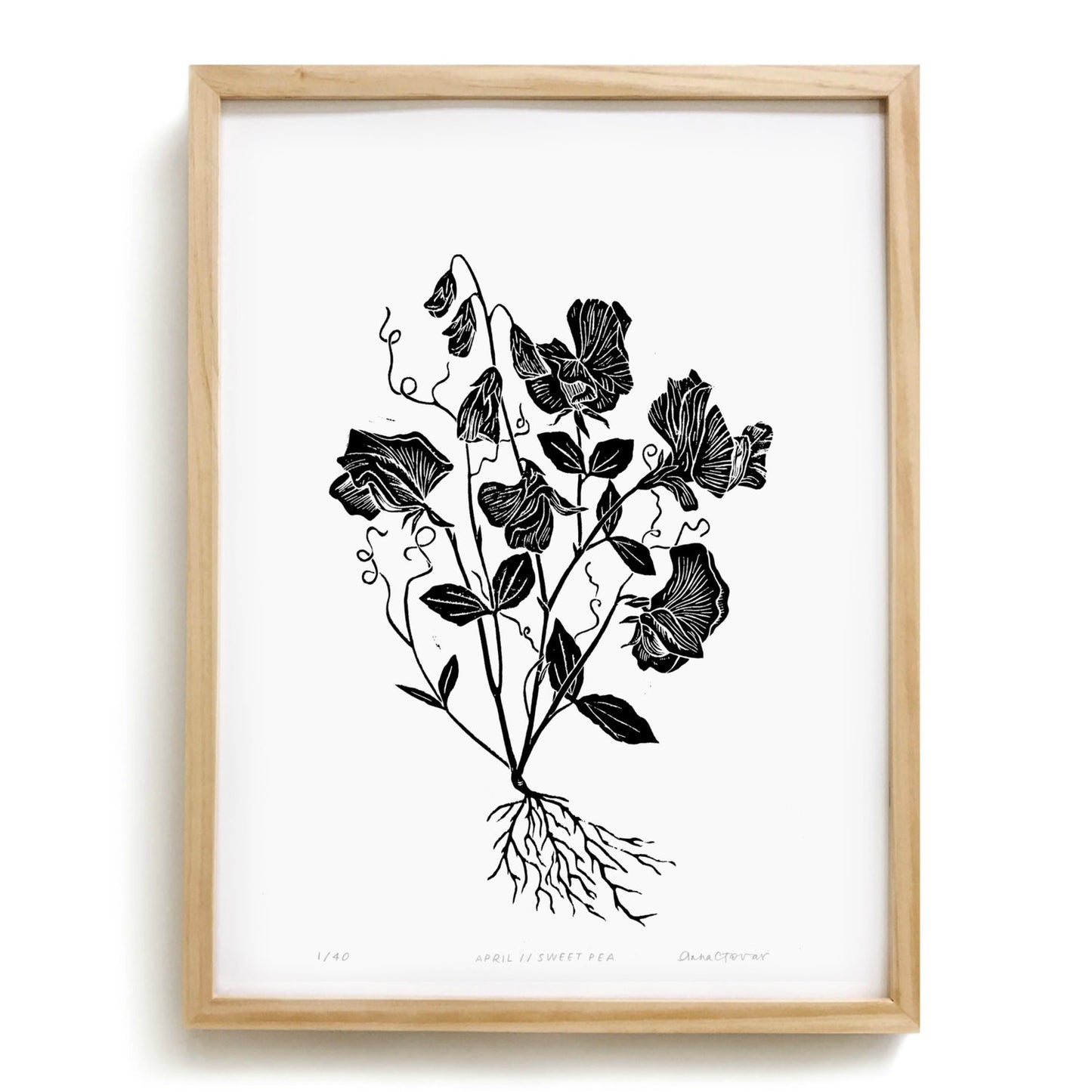Sweet Pea by Anna Tovar (TX) | 18x24