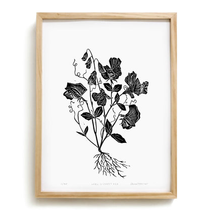 Sweet Pea by Anna Tovar (TX) | 18x24