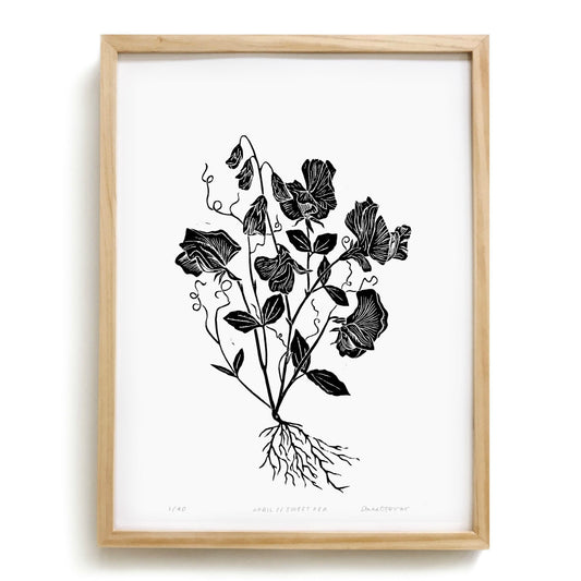 Sweet Pea by Anna Tovar (TX) | 18x24