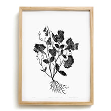 Load image into Gallery viewer, Sweet Pea by Anna Tovar (TX) | 18x24

