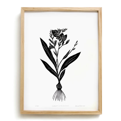 Gladiolis by Anna Tovar (TX) | 18x24
