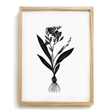 Load image into Gallery viewer, Gladiolis by Anna Tovar (TX) | 18x24
