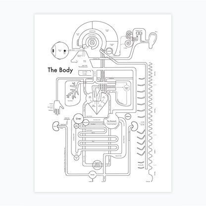 The Body | Archie’s Press (OR)