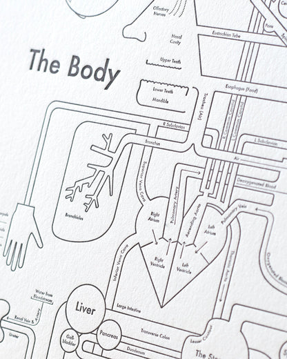 The Body | Archie’s Press (OR)