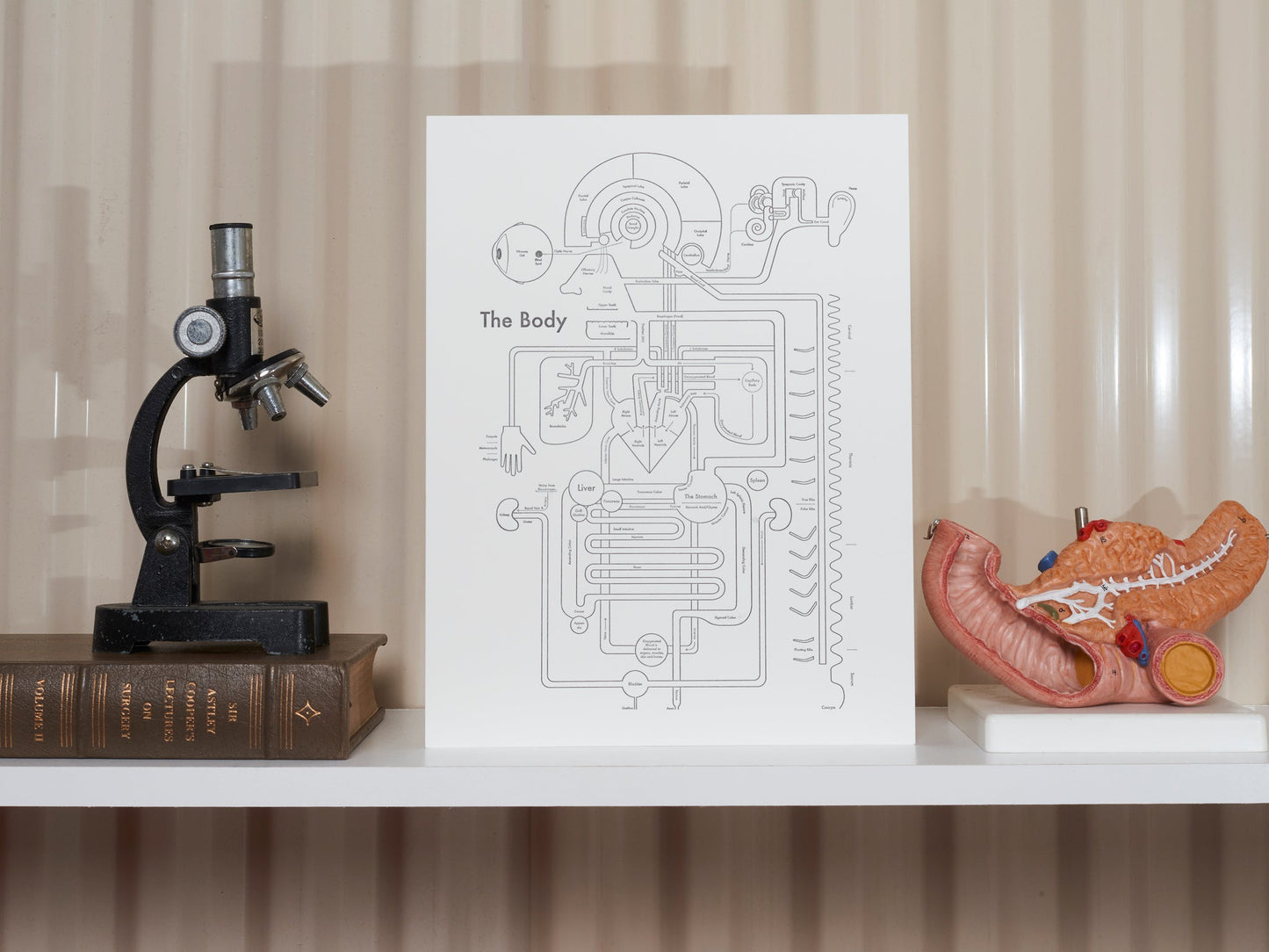 The Body | Archie’s Press (OR)