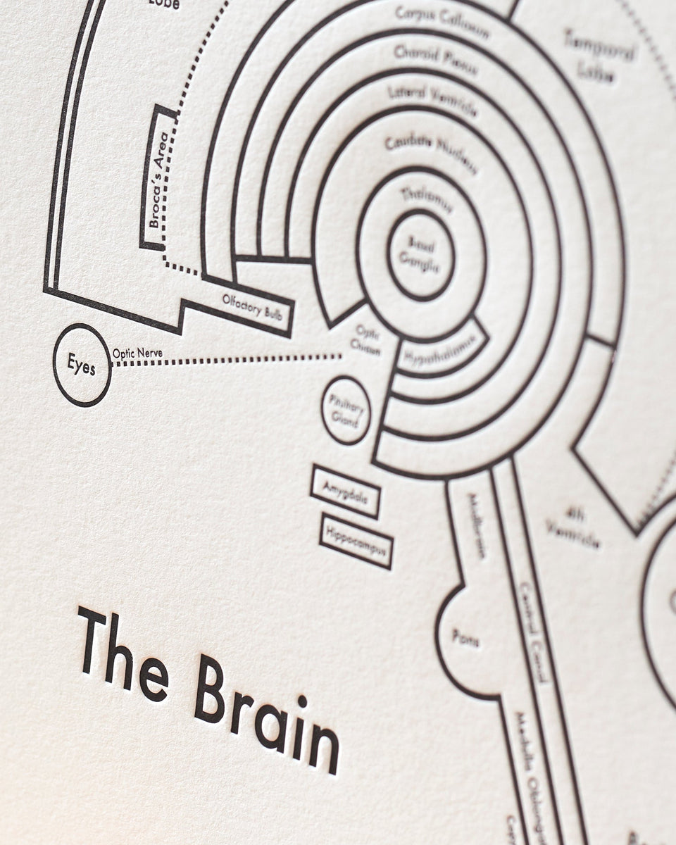 The Brain | Archie’s Press (OR) – WE ARE 1976
