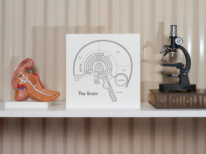 The Brain | Archie’s Press (OR)