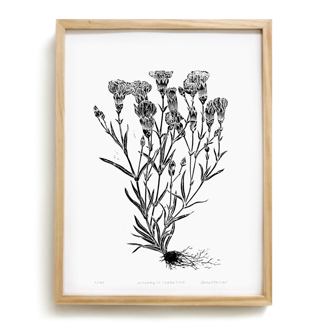 Carnation by Anna Tovar (TX) | 18x24