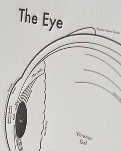 The Eye | Archie’s Press (OR)