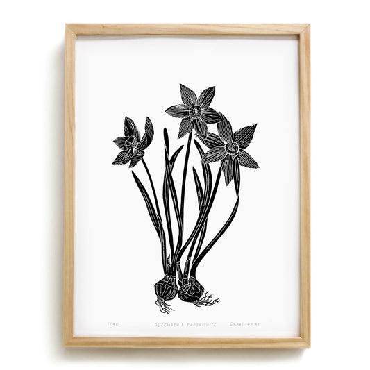 Paperwhite by Anna Tovar (TX) | 18x24
