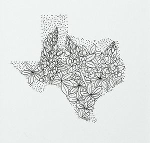 Texas Bluebonnet by Anna Tovar (TX) | 8x10