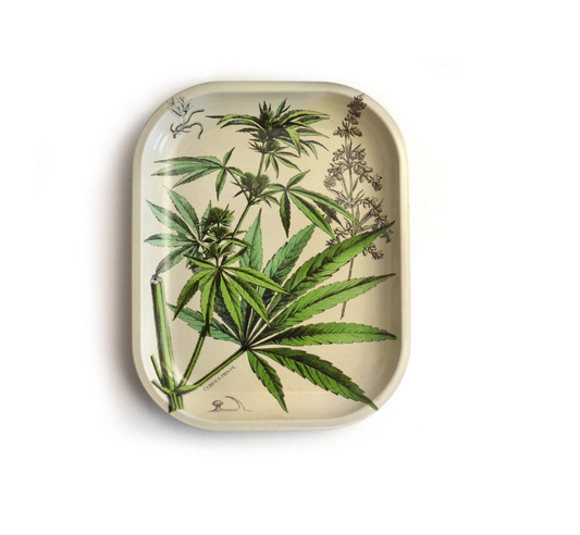 Cannabis Diagram Ritual Tray | Curious Prints (TX)