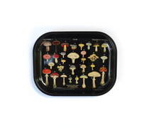 Load image into Gallery viewer, Black Mushroom Diagram Tray | Curious Prints (TX)

