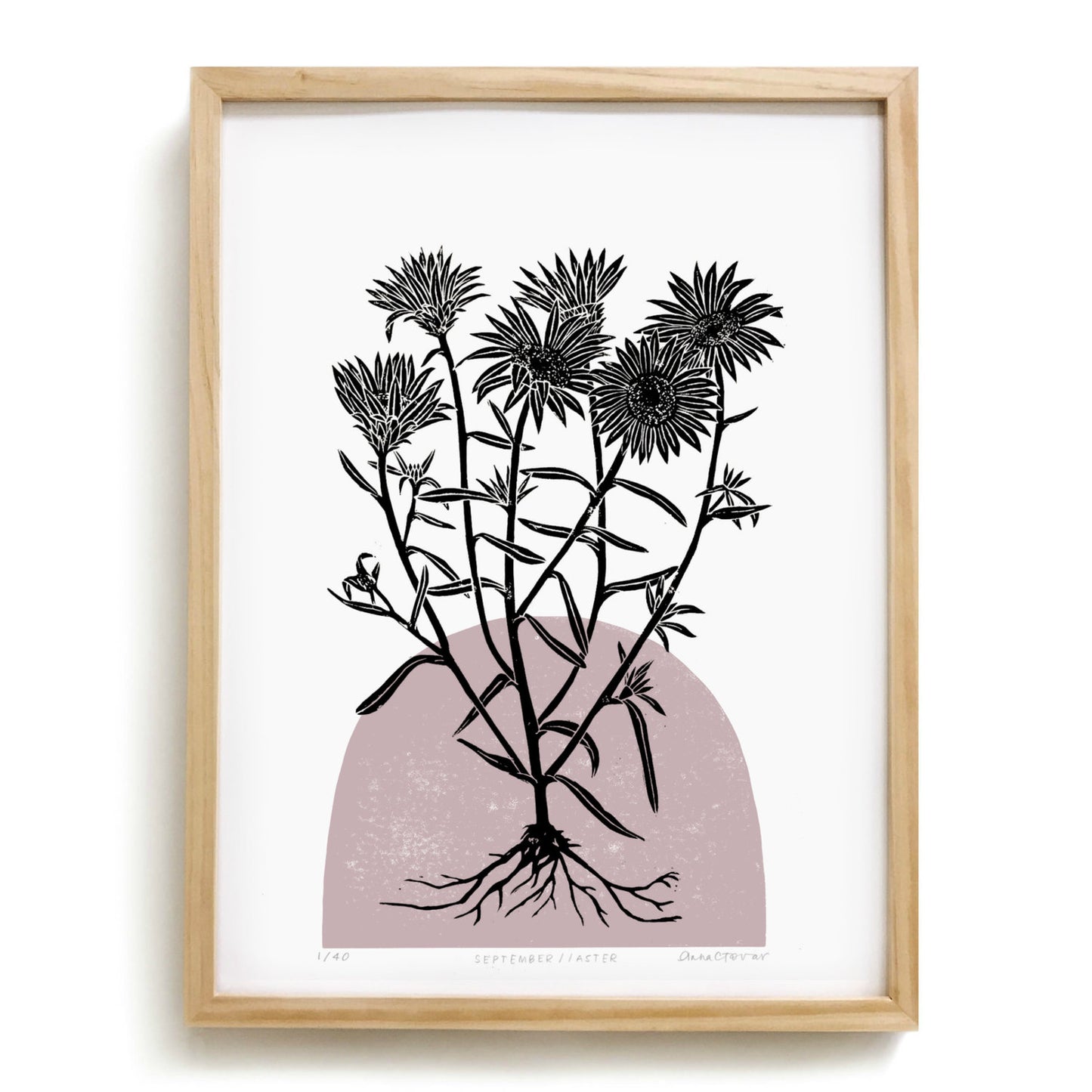 Aster by Anna Tovar (TX) | 18x24