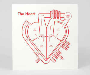 The Heart | Archie’s Press (OR)