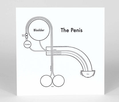 The Penis | Archie’s Press (NY)