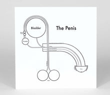 Load image into Gallery viewer, The Penis | Archie’s Press (NY)
