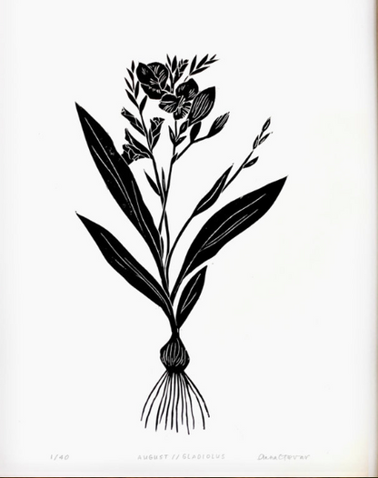 Gladiolis by Anna Tovar (TX) | 18x24