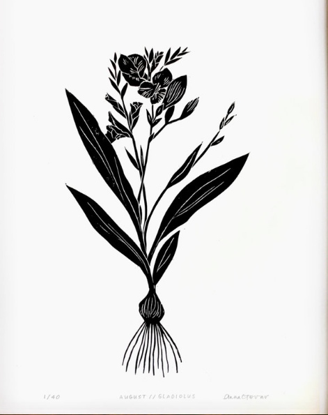 Gladiolis by Anna Tovar (TX) | 18x24