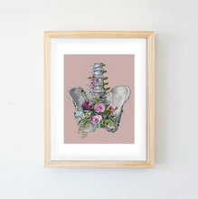 Load image into Gallery viewer, Pelvis | Trisha Thompson Adams (OK) | Pink
