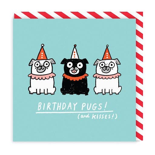Birthday Pugs  | Gemma Correll (UK)