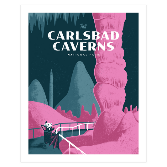 Carlsbad Caverns National Park Art Print | Factory 43 (WA)
