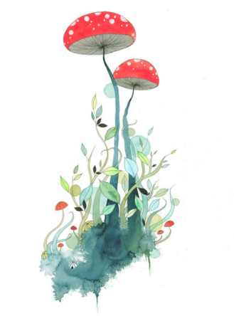 What a Long Strange Trip It’s Been | Melissa Moss (NC)