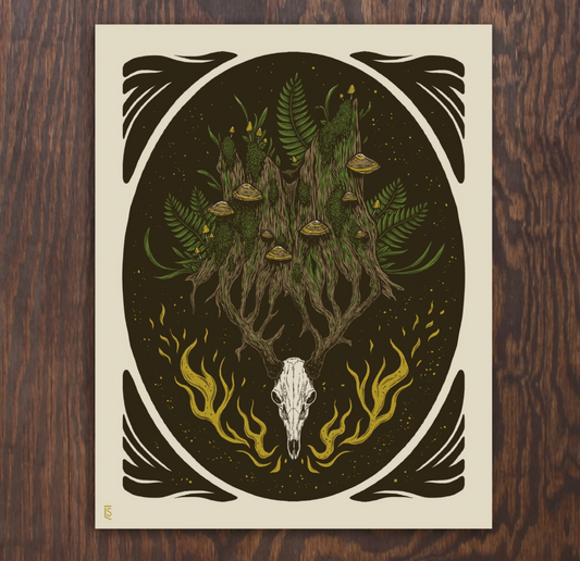 Old Growth | Logan Schmitt (WV)
