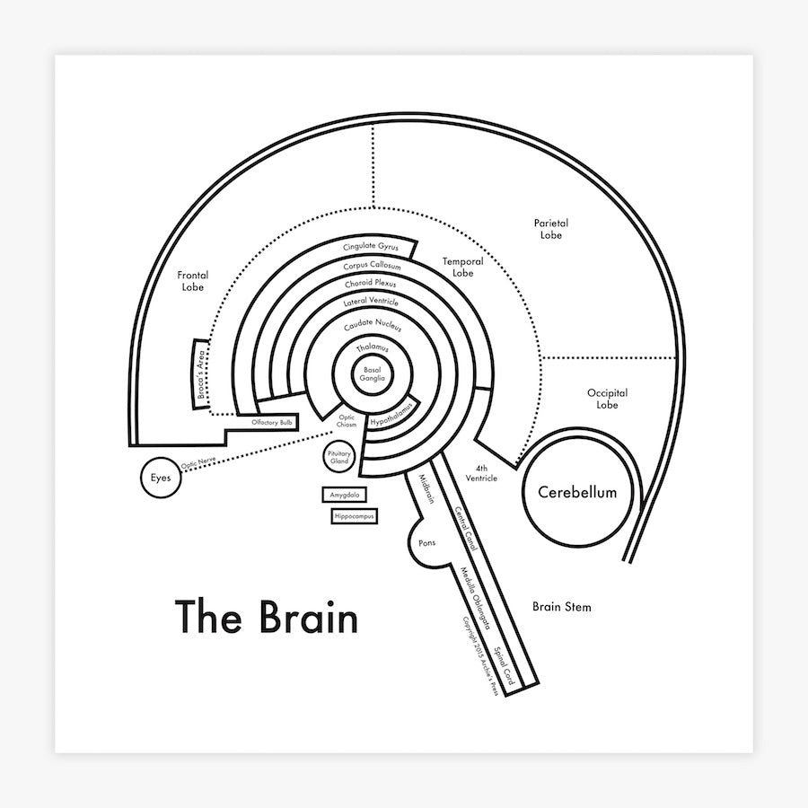 The Brain | Archie’s Press (OR)