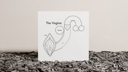 The Vagina | Archie’s Press (NY)