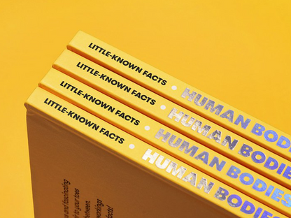Little Known Facts : Human Bodies by Diarmuid O Cathain