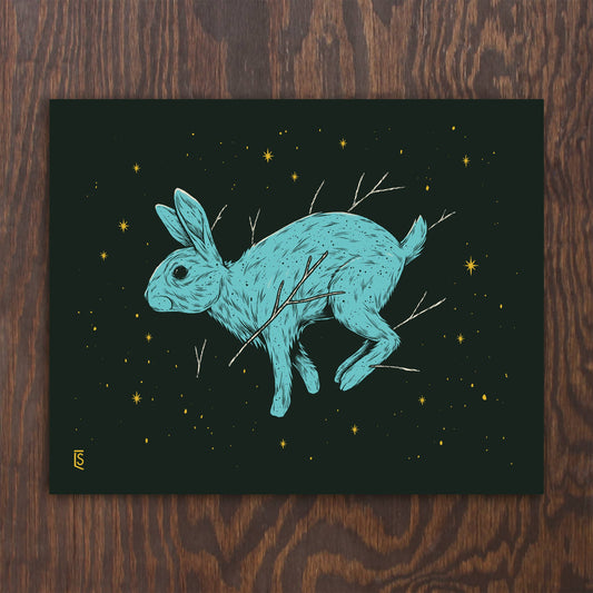 Dream Rabbit | Logan Schmitt (WV)