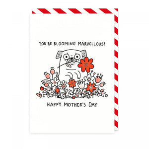 You're Blooming Marvellous | Gemma Correll (UK)